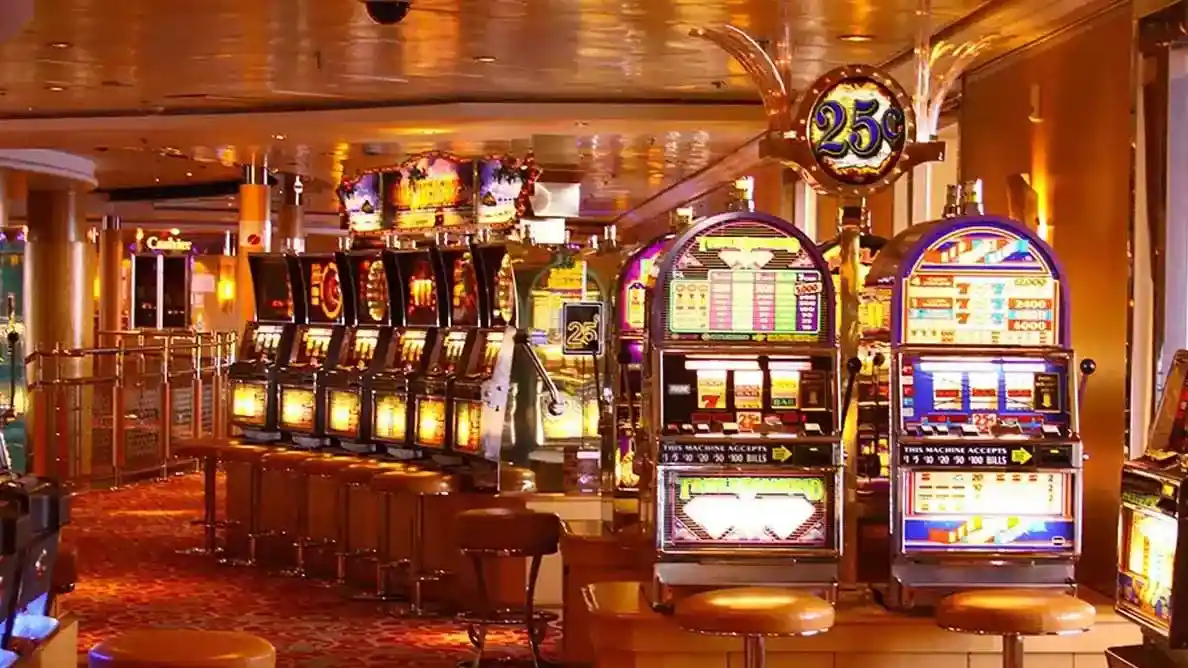 pgzeed168 bet login